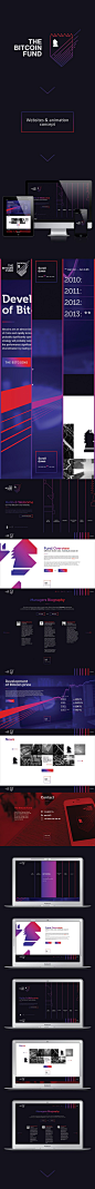 The Bitcoin Fund by Elastika, via Behance