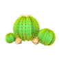 c4d 植树节 树木 花草树木 花花草草 植物 .png