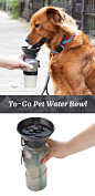 Dog Bowl Water Bottle: 