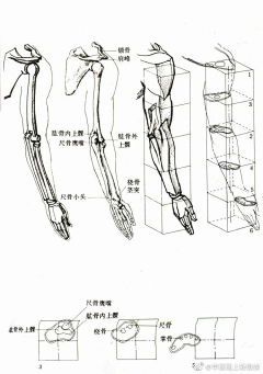 bibi小尧采集到基础练习