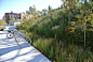 The Brooklyn Botanic visitor center 植物园游客中心景观规划设计_景观设计_ZOSCAPE-建筑园林景观规划设计网 - 园林景观意向图