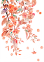 中国古风水墨花手绘水彩植物花卉装饰 免抠png透明图片背景ps素材 (312)