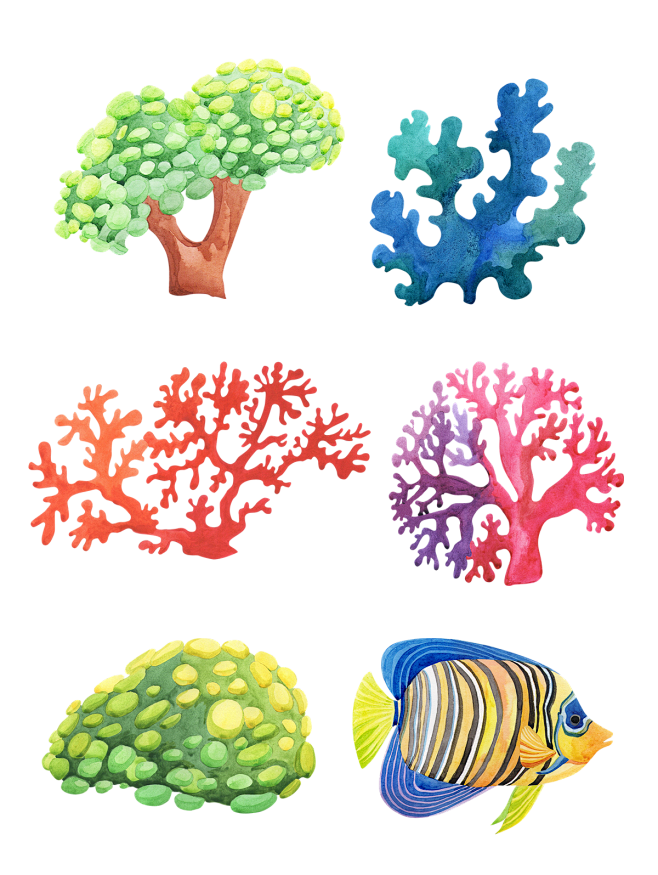 [美工云]手绘热带海底动植物剪贴画_PN...