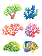 [美工云]手绘热带海底动植物剪贴画_PNG免扣：