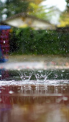 akong采集到在雨中