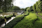 Lush vegetative planting at the Floating Gardens; credit: shutterstock.com