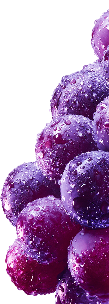 蓝莓还是葡萄？水果透明底色素材