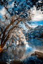 Frozen Pond, Dublin, Ireland
photo by nicholasraymond