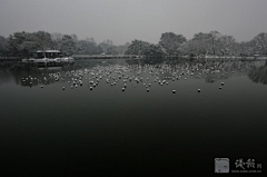 带着相机散步采集到最美还是雪西湖