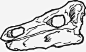 列克索龙头骨列克索病毒头骨头骨 https://88ICON.com 列克索龙头骨 列克索病毒头骨 头骨 三角龙 恐龙头骨 恐龙化石 动物头骨 古生物学家 古生物学 死恐龙 雷克斯 恐龙库兹恐龙酷