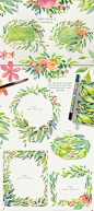 绿色植物树叶花朵手绘水彩PNG免抠矢量包装AI+PS设计印刷  (9)