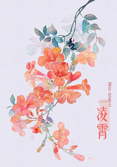 风风-彭采集到插画和花卉