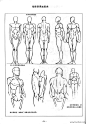 1699607747 - 安德鲁·路米斯《人体素描》 - 相册 - 若凡 - 雅昌博客频道