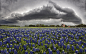 General 1920x1200 500px lightning flowers Texas