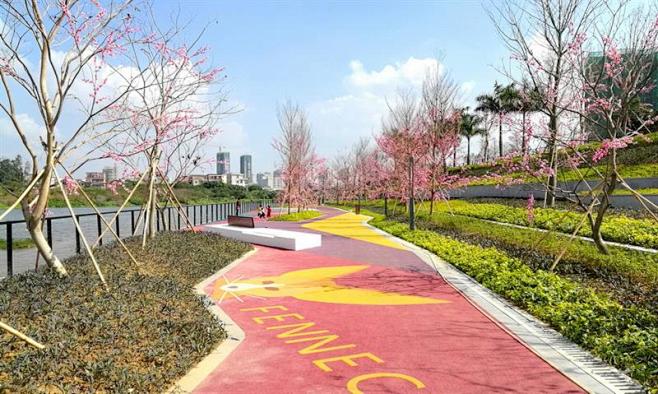 maoming poly (8)