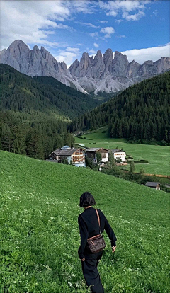 貓De夢在樹裏采集到致爱游的旅行者