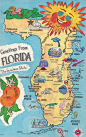 vintage florida map