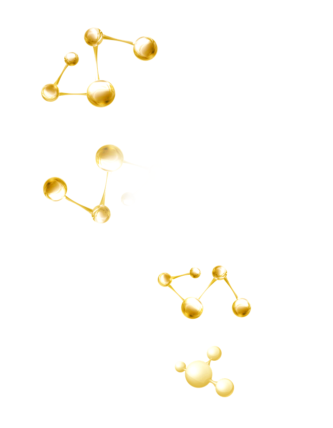 分子-DNA