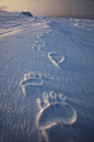 Polar Bear Tracks by Paul Nicklen for National Geographic (April 2009).