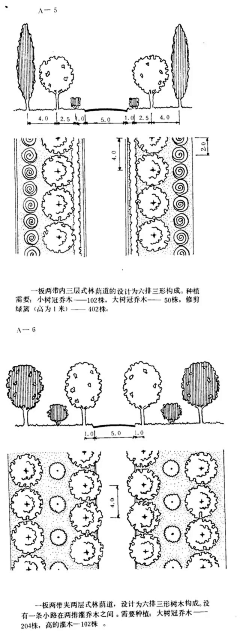 mG53RZXL采集到道路绿化