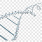 DNA螺旋科技背景装饰图案PNG图片➤来自 PNG搜索网 pngss.com 免费免扣png素材下载！