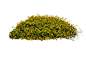 10 Free Plants & Flowers PNG Images- at Dzzyn.com - yellow flowers bush 02: 