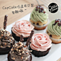 【Little Pieces】CupCake礼盒 纸杯蛋糕任选18只装 中环内包邮！