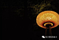 【HBD中国表情】寻竹 感受文化艺术之旅-华贝软装设计-微头条(wtoutiao.com)