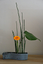 Ikebana ~ the ancient art of Japanese Floral Arranging.: 