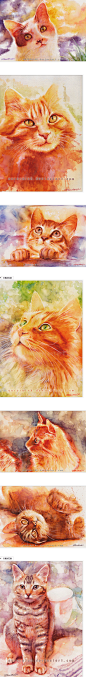 德国水彩画家Charlene Wienhold：可爱的猫 