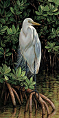 Egret by Rosemary Millette