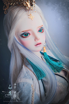 秋果蝇采集到BJD