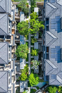 legendalone采集到住宅——巷道空间