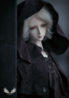 鸬白采集到bjd