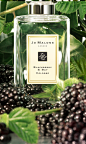 黑石榴香水 | Jo Malone China E-commerce Site : 一袭大胆红裙的诱惑。石榴、覆盆子、<BR> 李子等红宝石般美丽的鲜果在红胡椒的烘托下<BR> 香气愈加醉人，更伴有香水百合与<BR> 本木香料的芬芳，深邃、神秘。