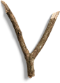 branch_5.png (315×432)
