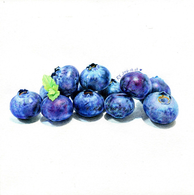 【彩铅水果】蓝莓娃9