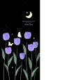 633期_手机壁纸_温柔的紫色系花朵_6_画渣清茶呀_来自小红书网页版