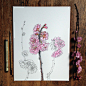 我与春天有个约会，美国科学插画家和艺术家 Noel Badges Pugh手绘花卉作品。