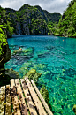卡烟甘湖，科隆群岛，巴拉望岛，菲律宾Kayangan Lake, Coron islands, Palawan, Philippines