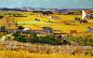 梵高作品欣赏《收割中的田园风景》
1888年 ，画布，油彩，73厘米X92厘米，阿姆斯特丹国立梵高博物馆。
这幅画采用较传统的写实风格，整个画面笼罩在暖色调中。远景的处理，使得画面产生平远的效果。