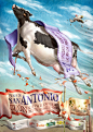 St Anthony Cattle Fair (Gijón, 2015) : Poster for the Gijón Cattle Show, June 2015, with parallel activities: artisan and ecological market, lectures, friesian cow contest, activities for kids… Developed by commitment of Caja Rural Foundation and Gijón Ci