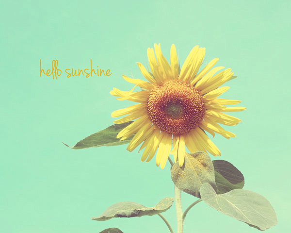 hello sunshine