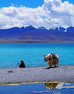 碗里的巧克力采集到Travel