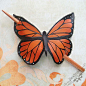 leather butterfly: 