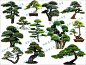 中式2D造型景观树黑松罗汉松植物盆栽盆景SU模型sketchup设计素材-淘宝网