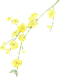 绿色黄色植物插画水墨节气立春彩色水彩花朵图片