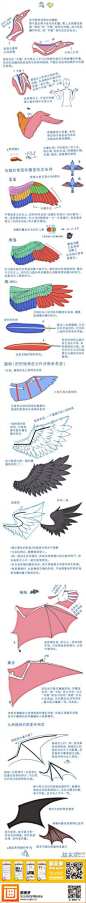【绘画教材】翅膀的动态分析和画法~