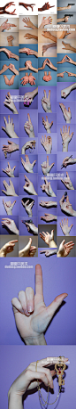 681 艺用人体手部姿势多角度 持物动作结构 实拍高清照片绘画参考-淘宝网