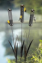 Cattail Wire Mesh Stake Feeder, Wire Mesh Cattail Stake Feeders For Clinging Feeding Birds at Songbird Garden